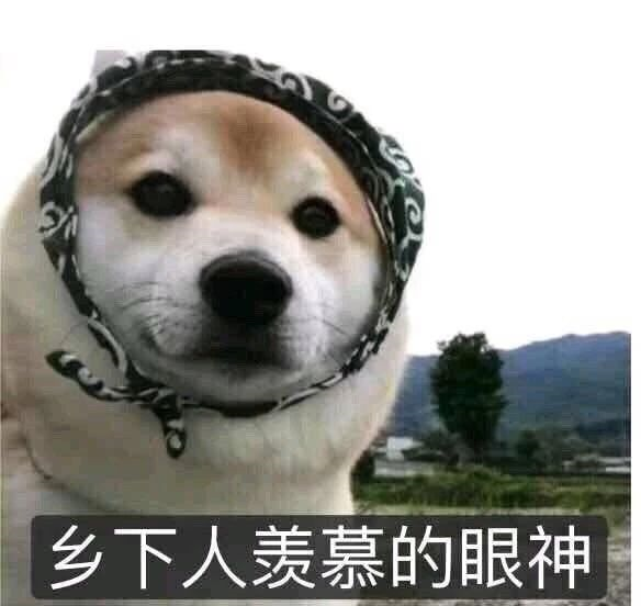 滑雪場(chǎng)建設(shè)公司.png